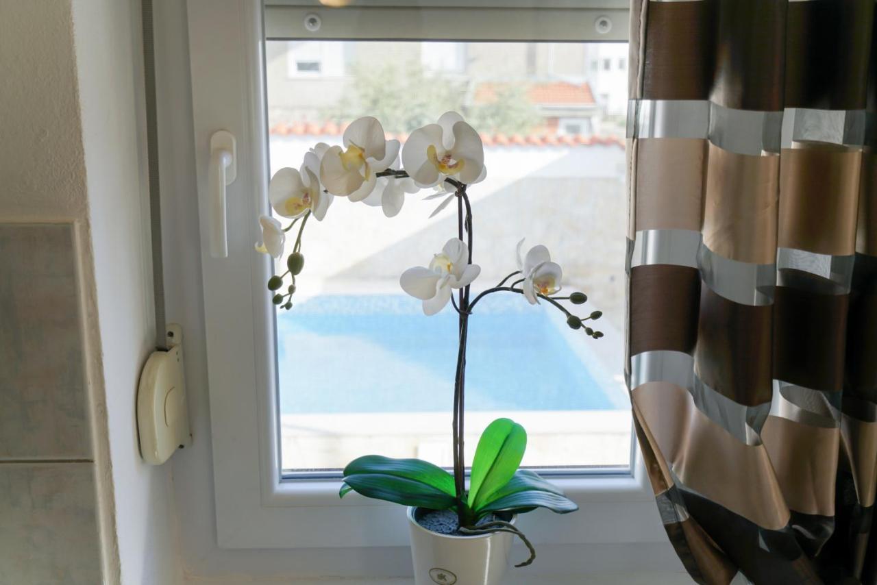Villa Sanda With Private Pool ザダル エクステリア 写真